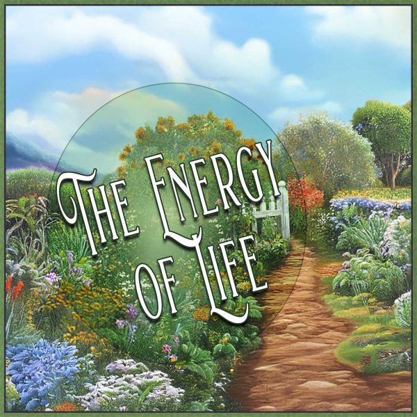 The Energy of Life