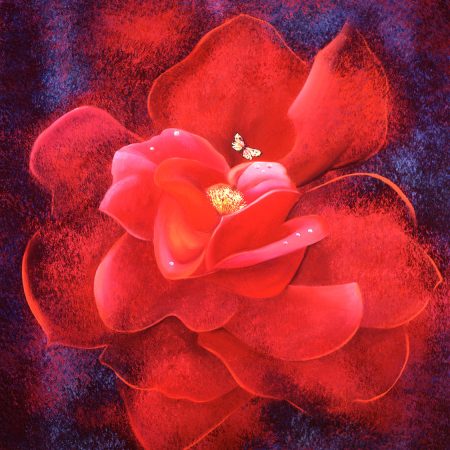 Rejoice celebration set